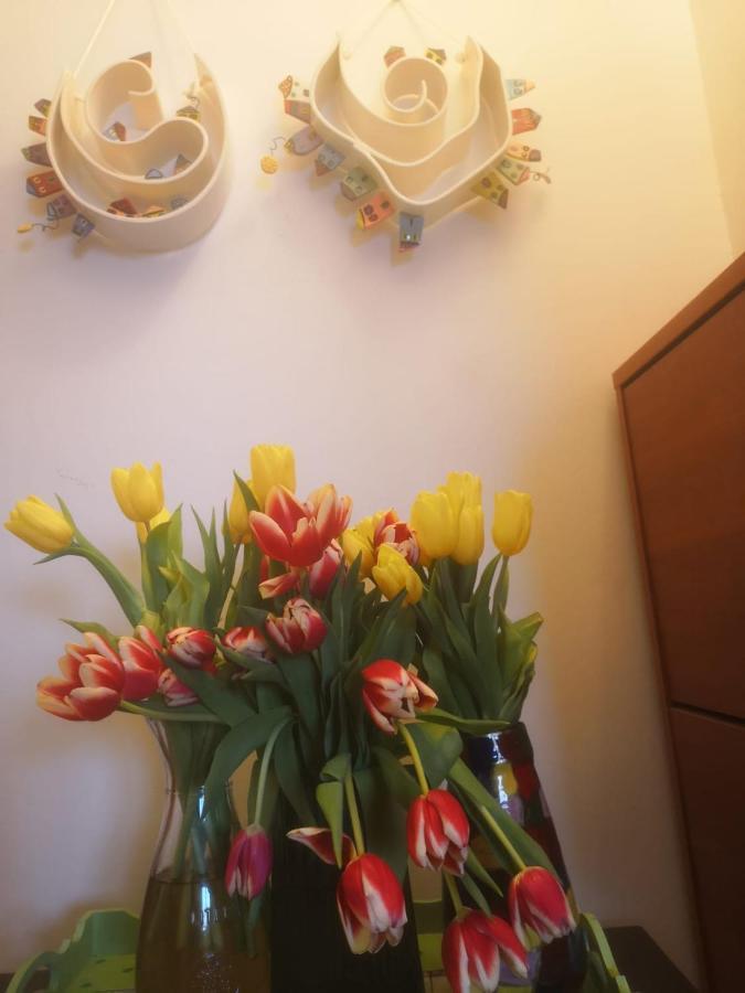 Apartments M&R Spadina Водице Екстериор снимка